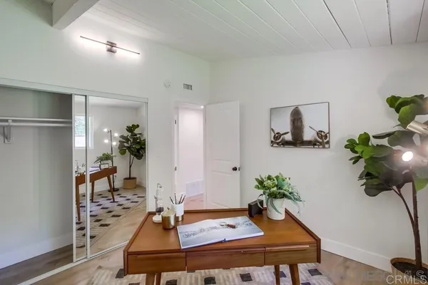 a living room with furniture and a potted plant