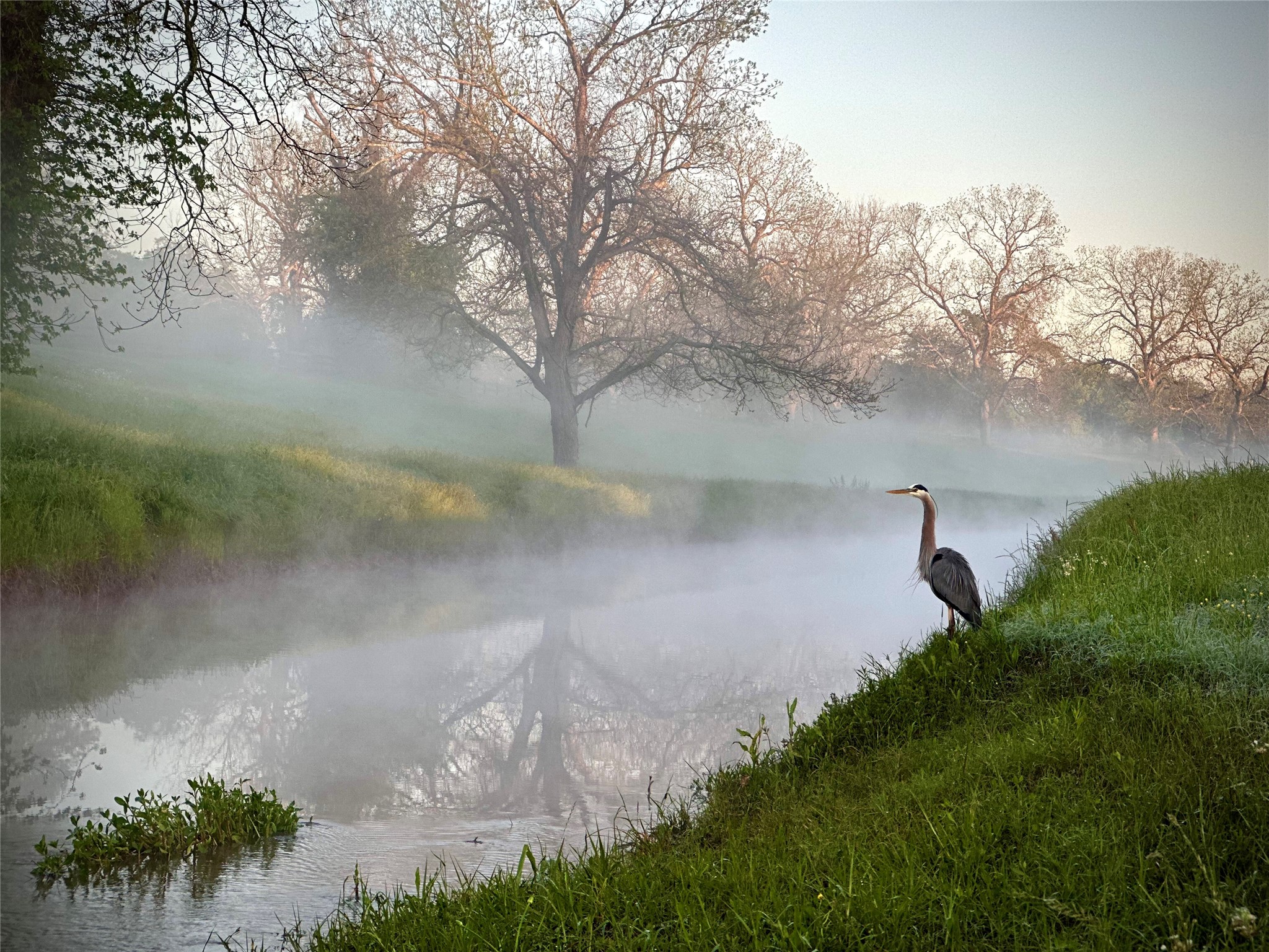 31119 Riverlake Road Fulshear, TX 77441 - Photo 2 of 27 Fulbrook is where you are truly living at one with nature.