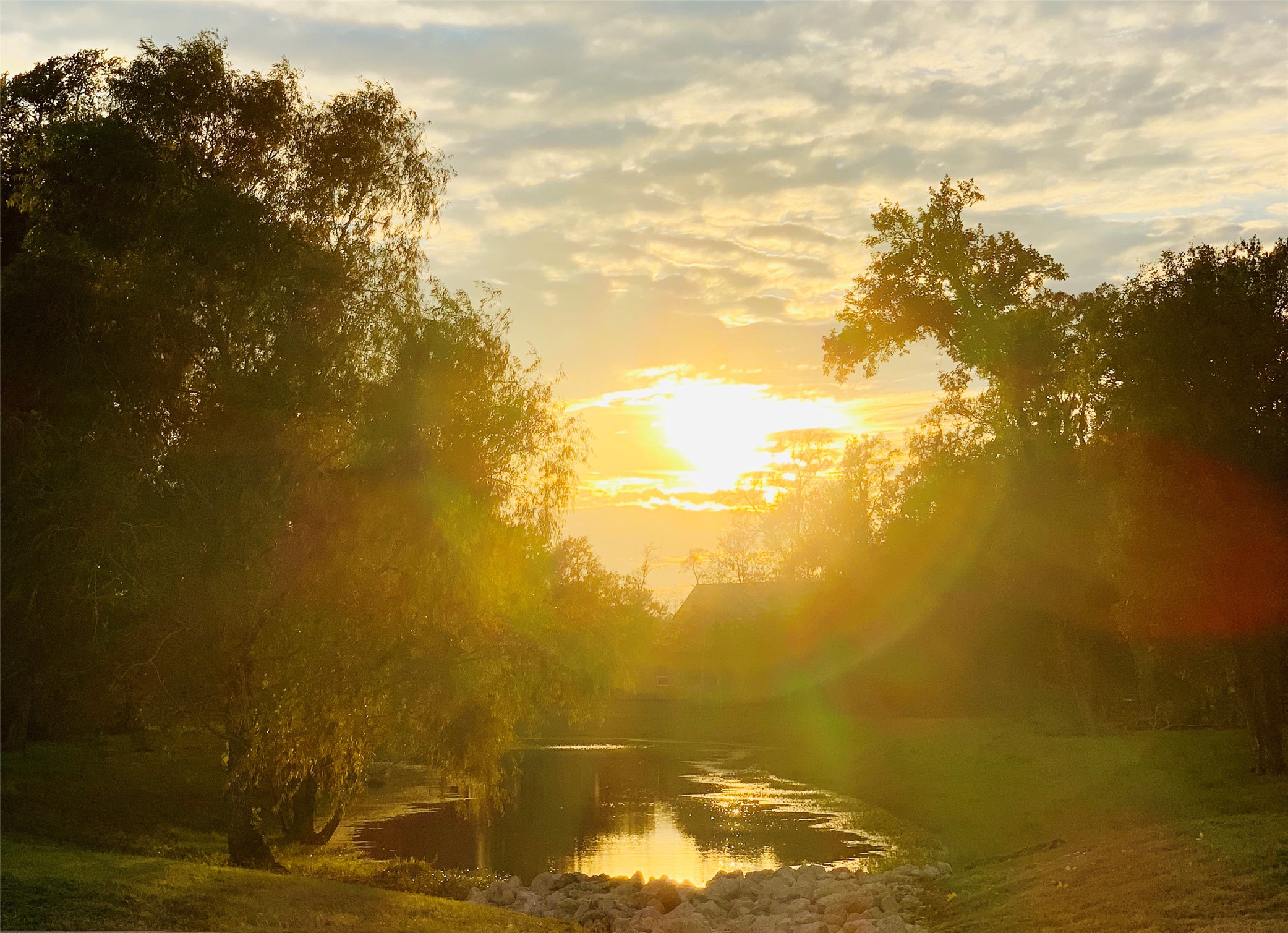 31119 Riverlake Road Fulshear, TX 77441 - Photo 21 of 27 Harris Lake in Fulbrook.