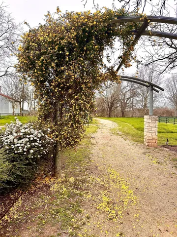 a view of backyard with green space