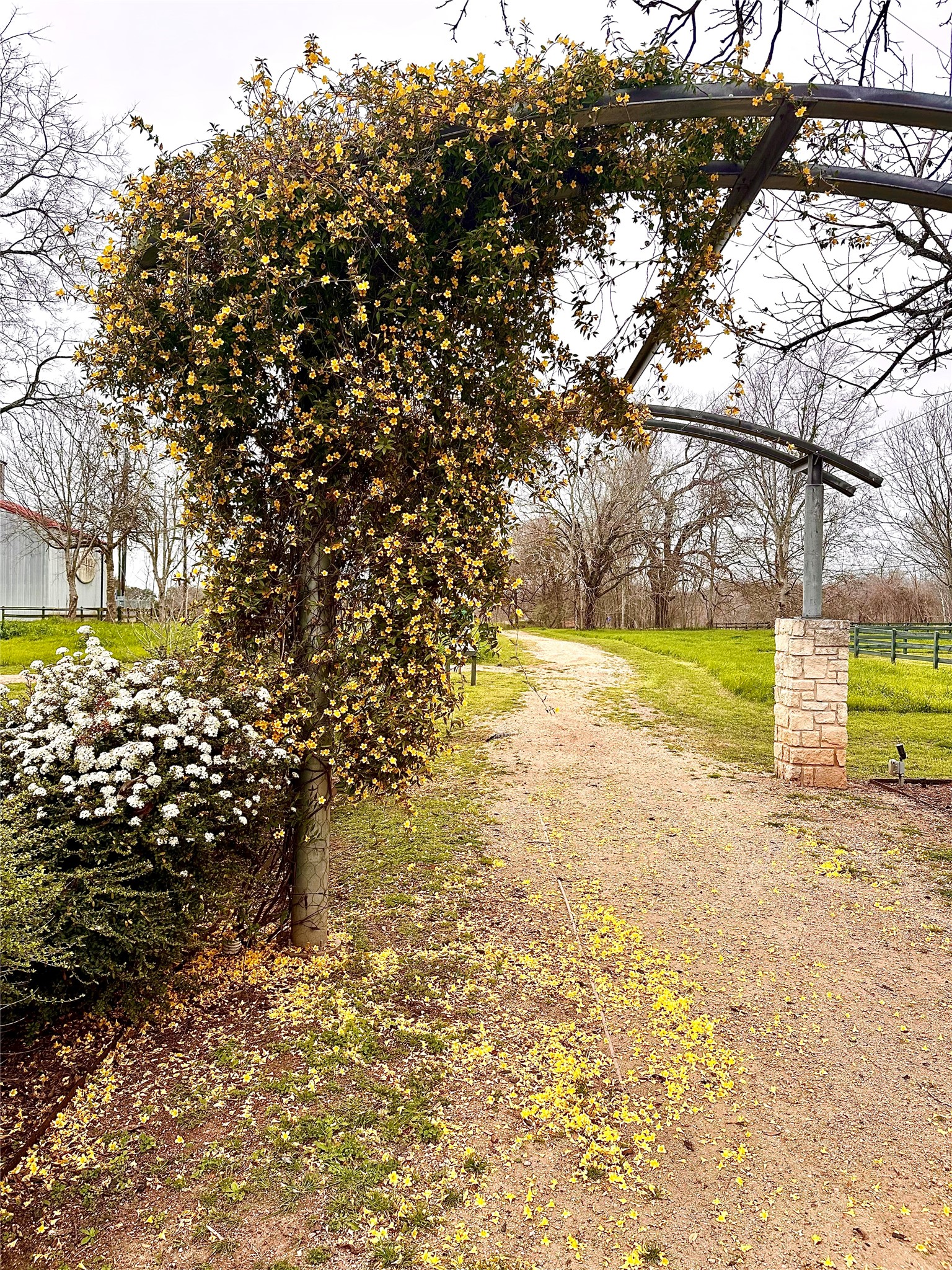 31119 Riverlake Road Fulshear, TX 77441 - Photo 24 of 27 Some of the most beautiful trails in Texas, right outside your door.