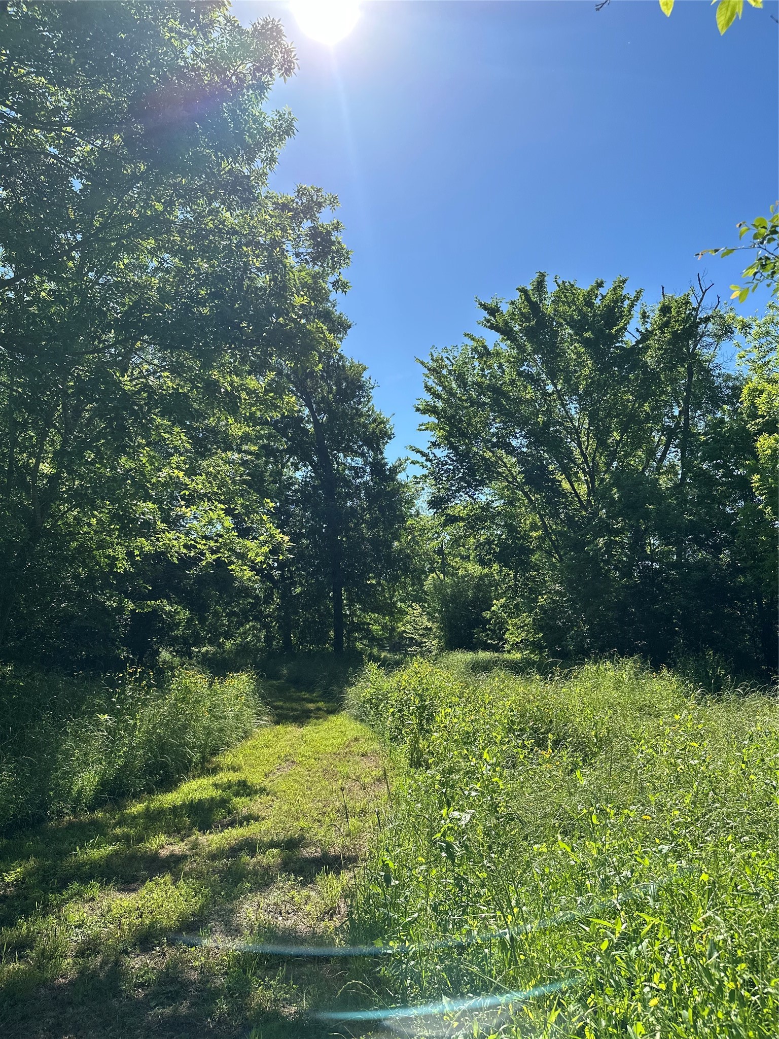 31119 Riverlake Road Fulshear, TX 77441 - Photo 25 of 27 No concrete here. There are miles of trails weaving in and out of wooded fields and wildflowers.