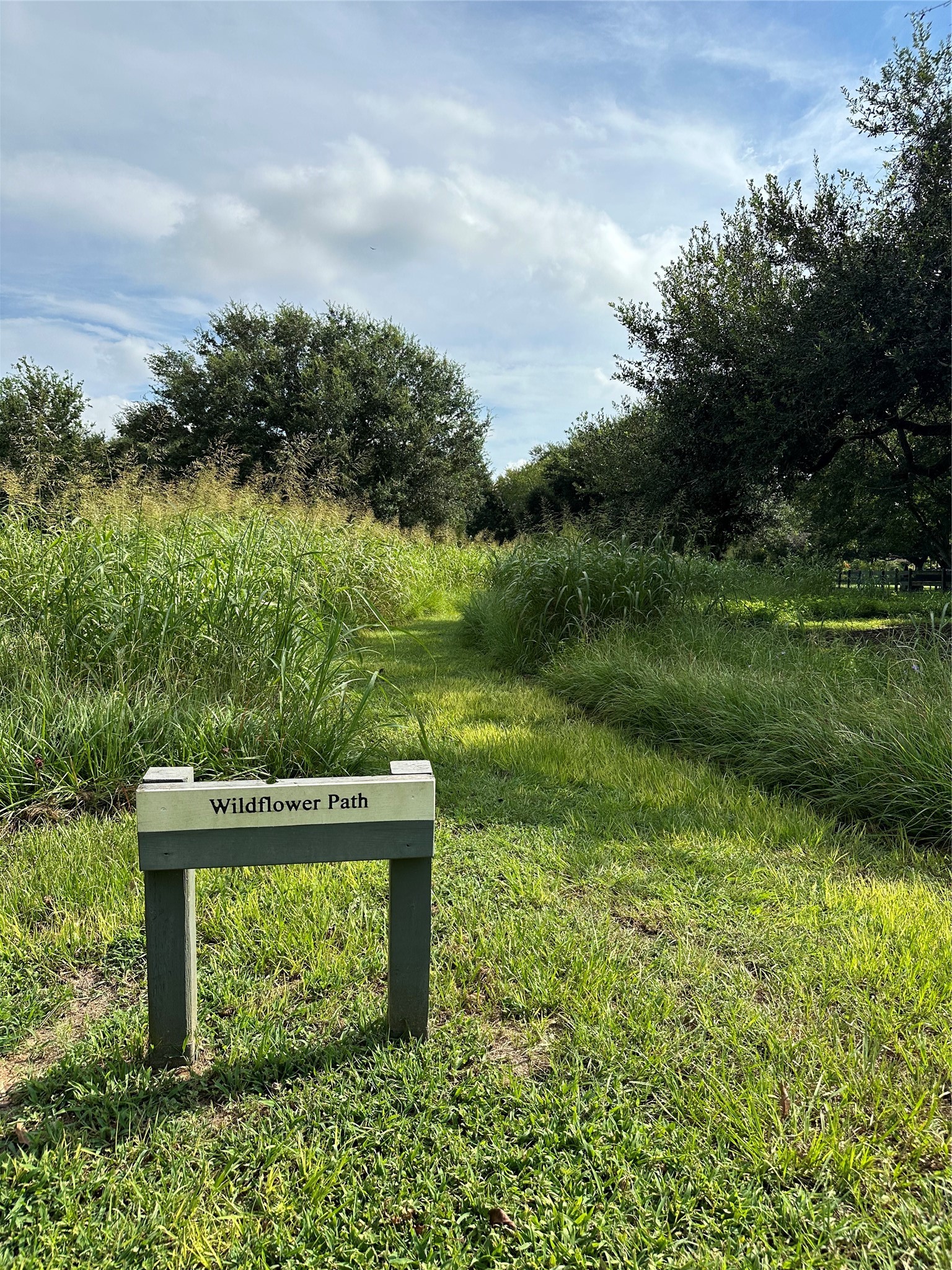 31119 Riverlake Road Fulshear, TX 77441 - Photo 9 of 27 Wildflower Path and dozens of nature trails wind through the neighborhood, where you'll experience the sights and sounds of country living, and even spot a creature at home, or two, or more!