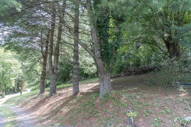 a backyard of a house with lots of green space