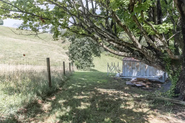 a view of a backyard