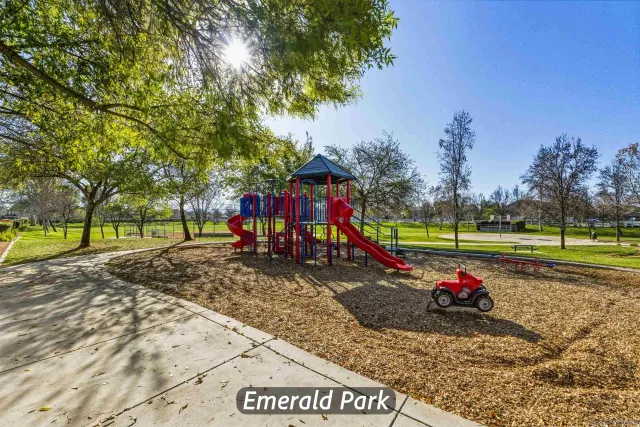 a view of a park with large trees and plants