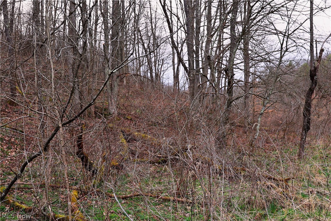 6030 Atkinson Creek Road Southeast Tippecanoe, OH 44699 - Photo 6 of 27