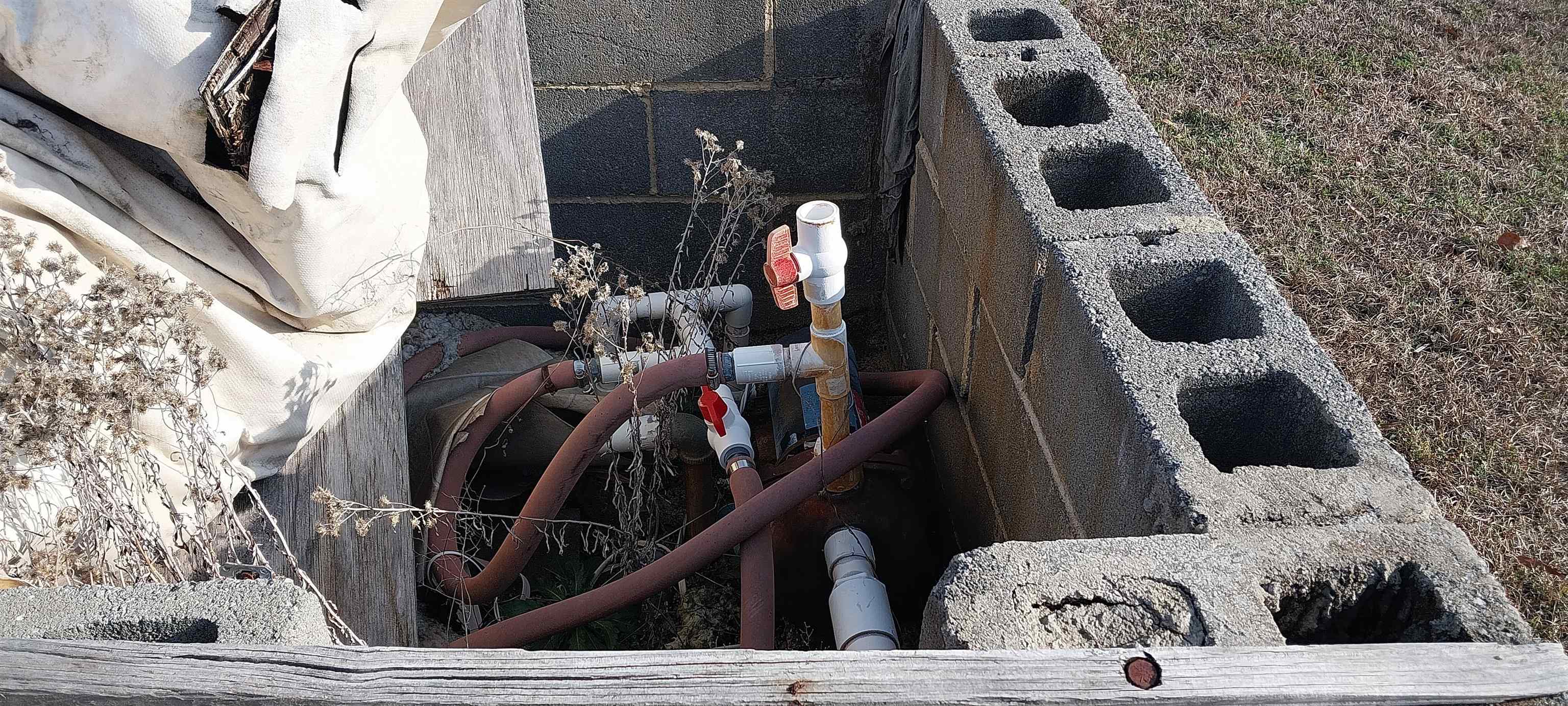 Lot 1 Browns Creek Road Latta, SC 29565 - Photo 5 of 7