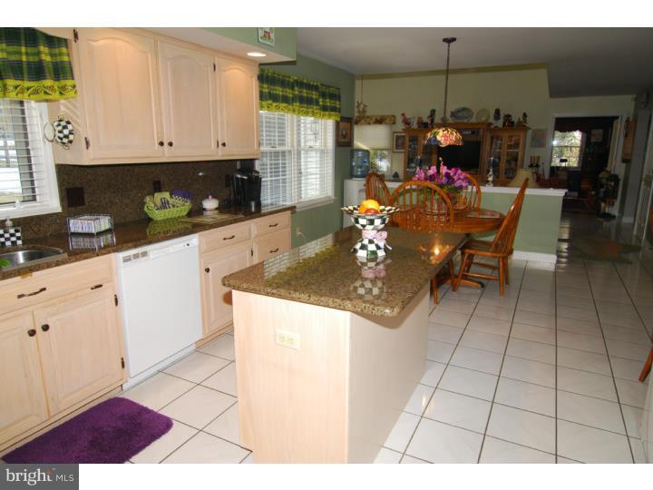 126 Grande Boulevard Sinking Spring, PA 19608 - Photo 11 of 25 Kitchen