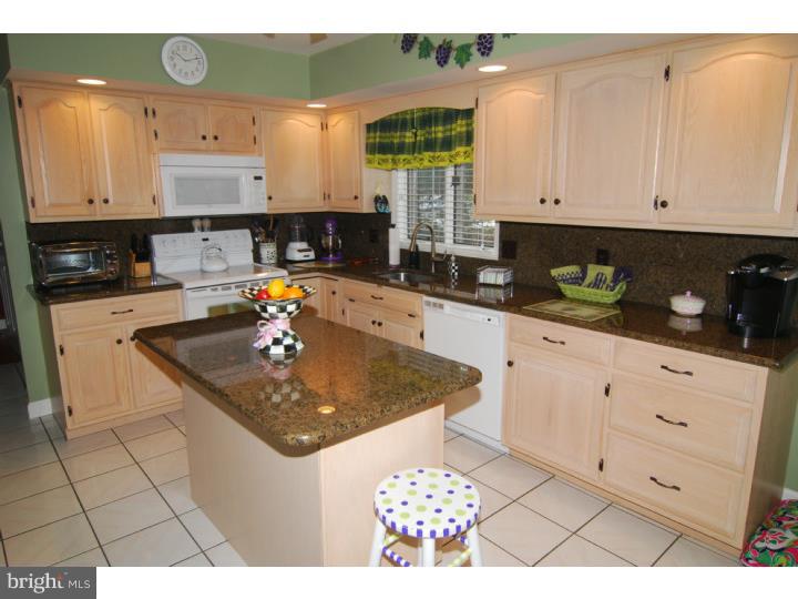 126 Grande Boulevard Sinking Spring, PA 19608 - Photo 10 of 25 Kitchen
