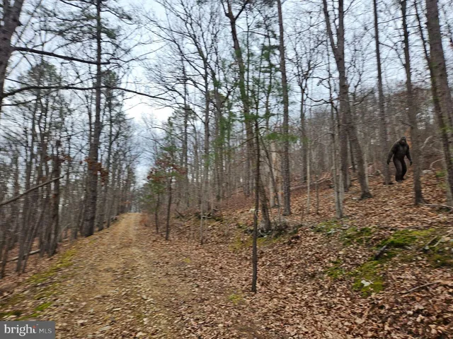 $90,000 | Chapman Lane, Boyce, VA 22620