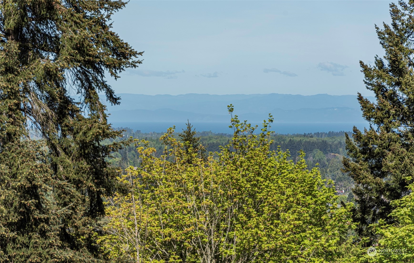 2-lot Fox Hollow Road Sequim, WA 98382 - Photo 3 of 23 Gallery Image 3