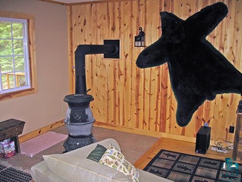 10384 Victor Lake Road Isabella, MN 55607 - Photo 5 of 10 Gallery Image 5