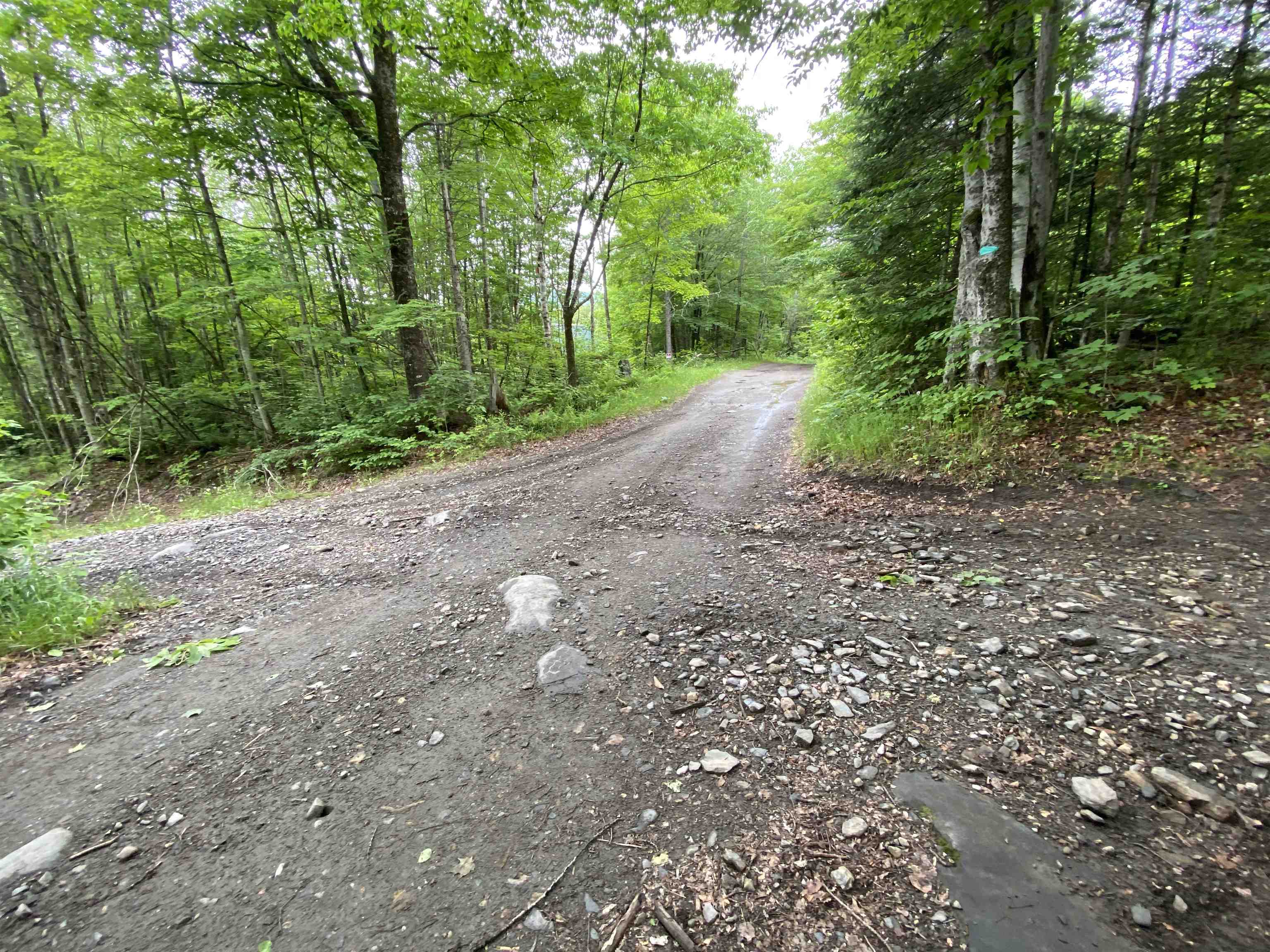 230 Blodgett Road Wheelock, VT 05851 - Photo 8 of 27