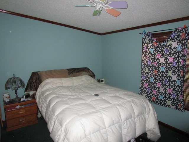 4283 Hopkins Road Middlesex, NC 27557 - Photo 11 of 21 Additional Photo
