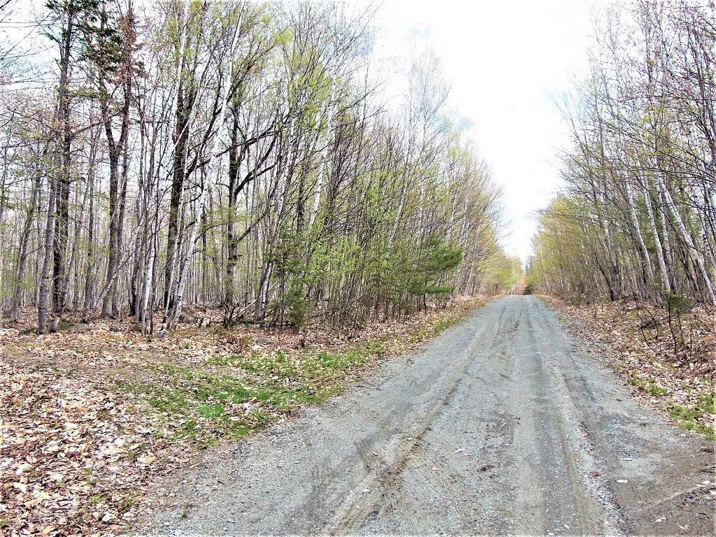 25 Beech Ridge Wellington, ME 04942 - Photo 34 of 35 Driveway on the left to camp on...