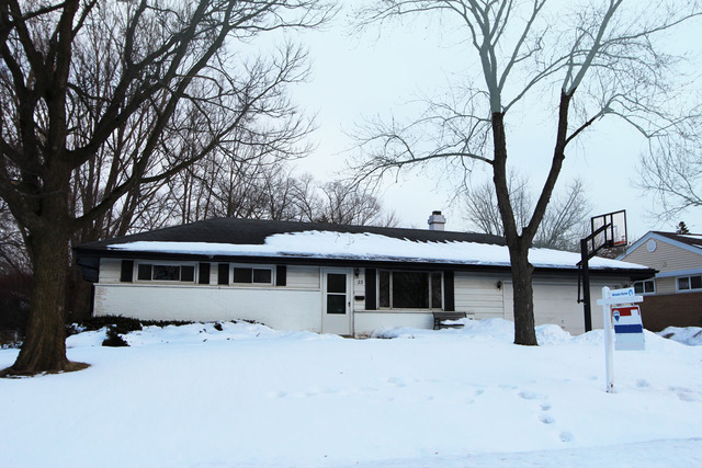 a view of a white house with a large tree