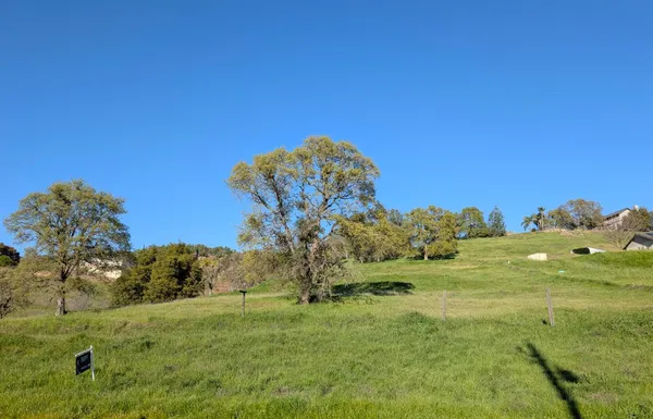 a view of a field with an ocean