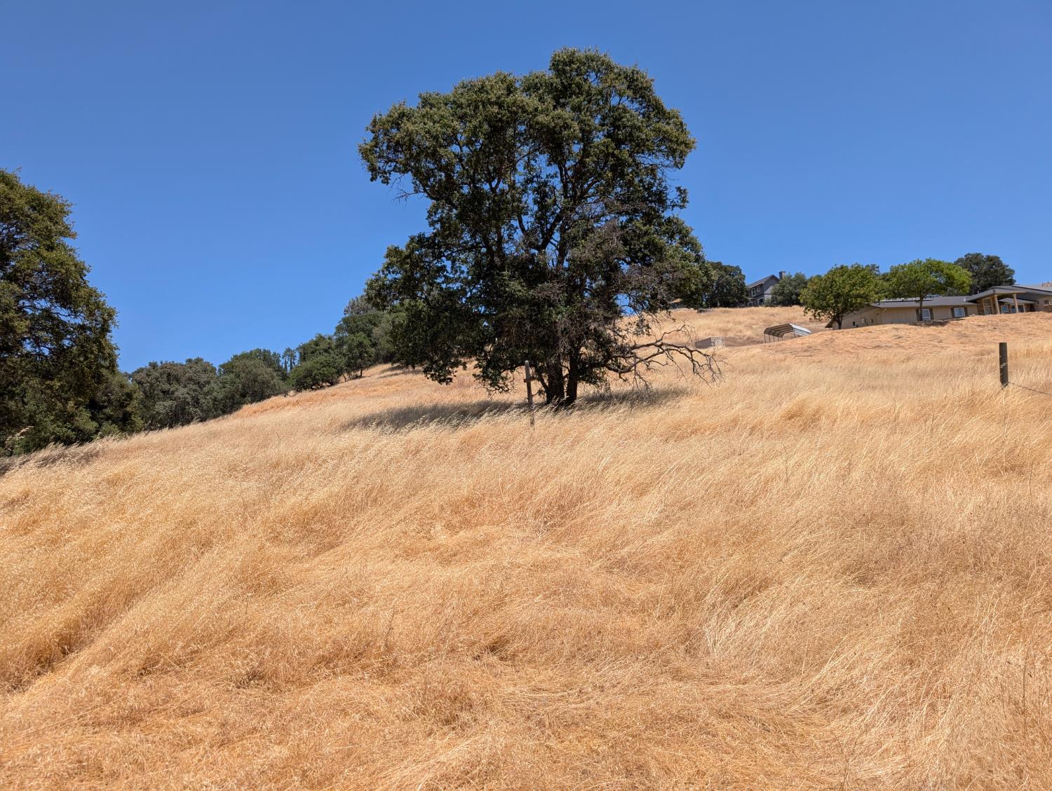 3669 Little John Road, Unit 1 Copperopolis, CA 95228 - Photo 8 of 20 Mature Oaks and gentle topography