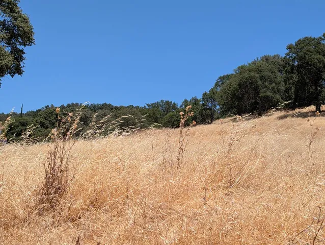 $98,500 | 3669 Little John Road, Unit 1, Copperopolis, CA 95228