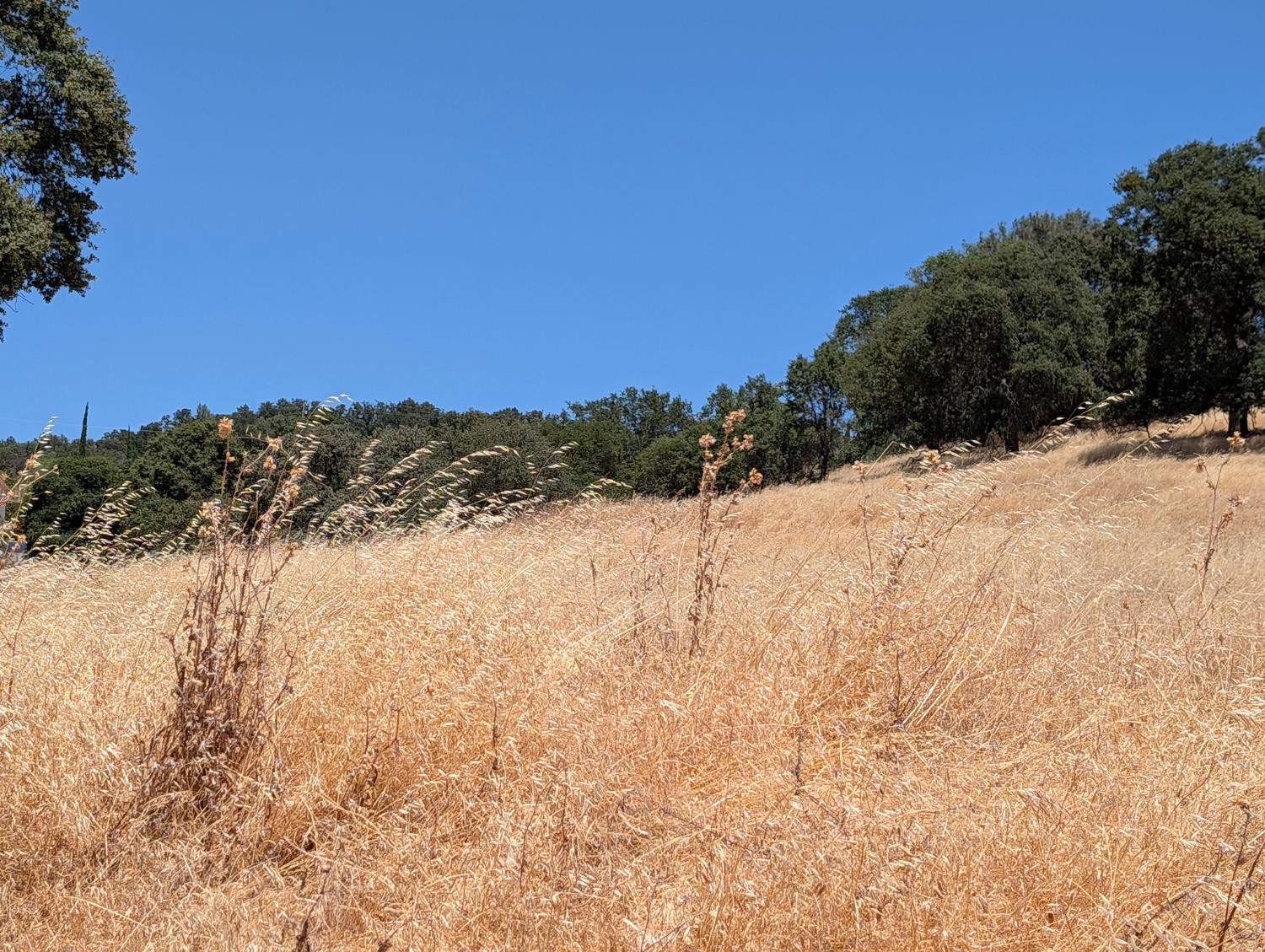 3669 Little John Road, Unit 1 Copperopolis, CA 95228 - Photo 10 of 20