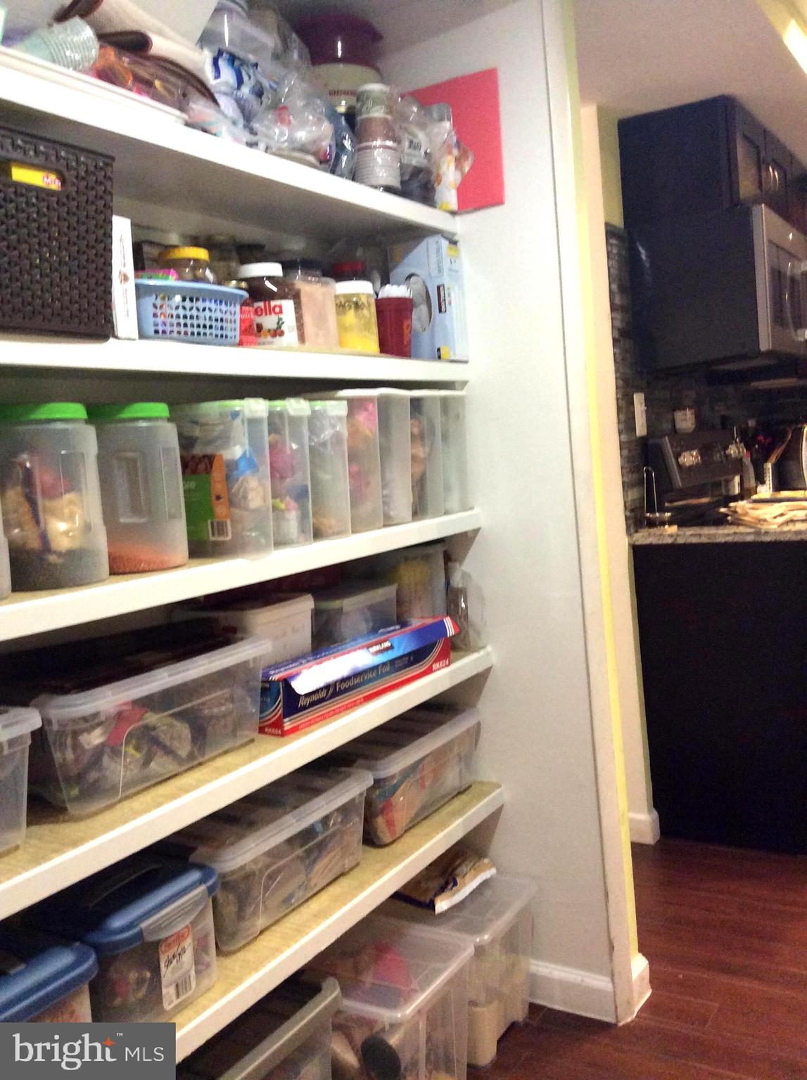 123 Willow Place Sterling, VA 20164 - Photo 16 of 31 Spacious Pantry and Laundry area