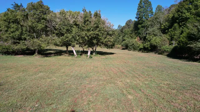 a view of a bench with trees in the background