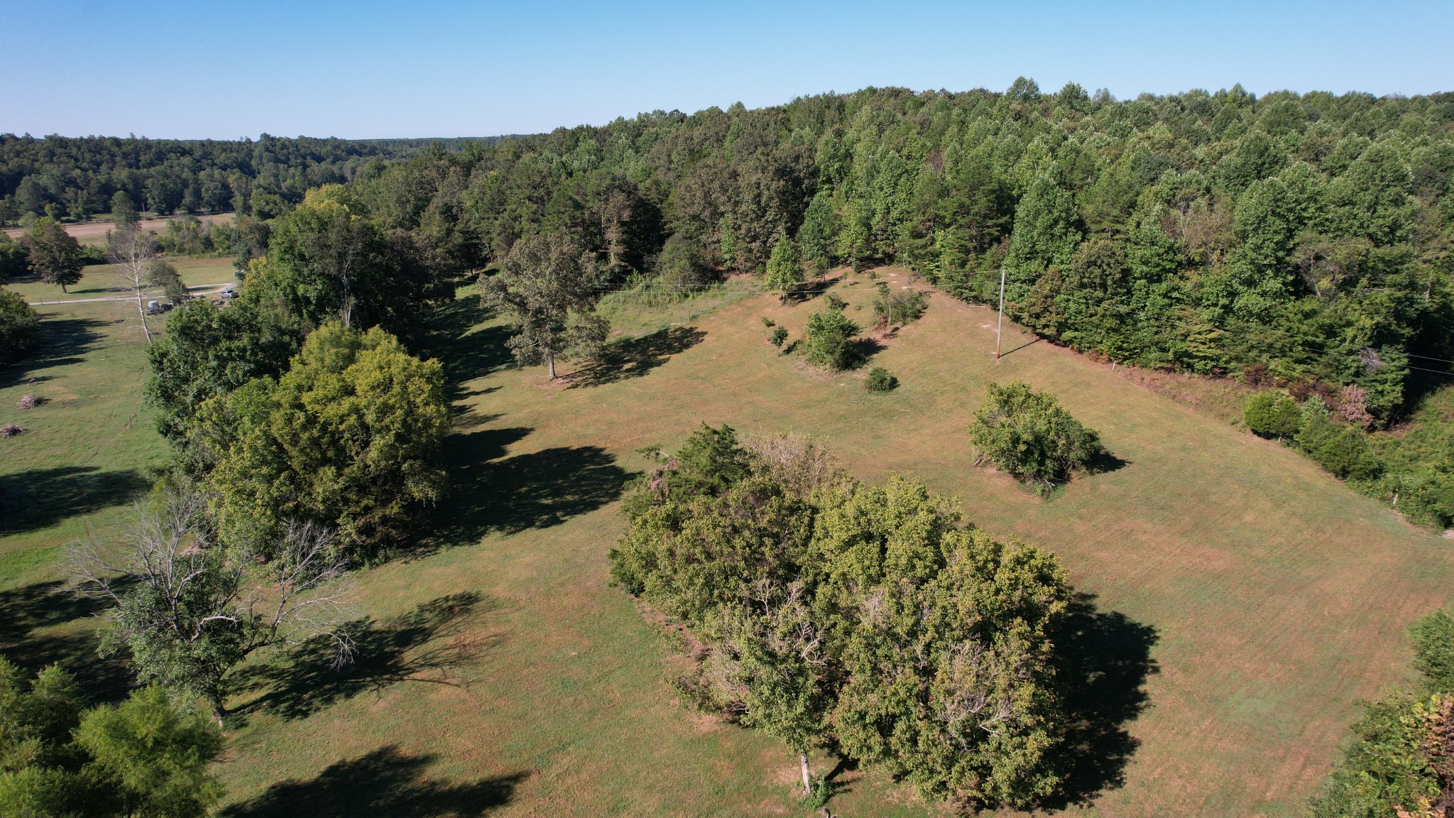 446 Grinder Creek Road Hohenwald, TN 38462 - Photo 4 of 11 a view of a pathway with a yard