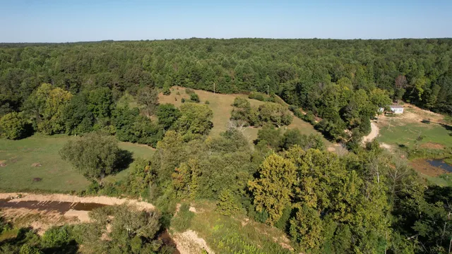 a view of a green yard with an outdoor seating