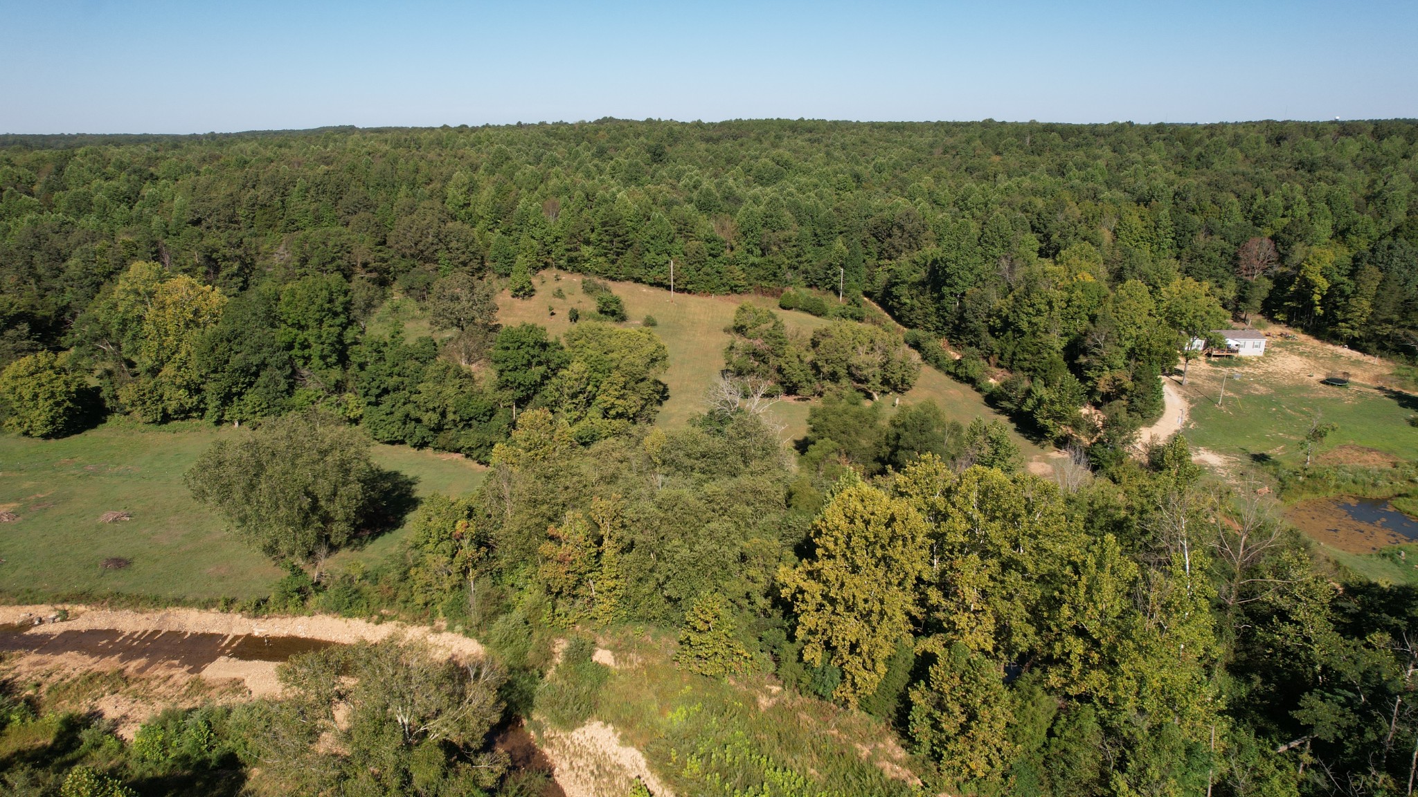446 Grinder Creek Road Hohenwald, TN 38462 - Photo 5 of 11 a view of a green yard with an outdoor seating