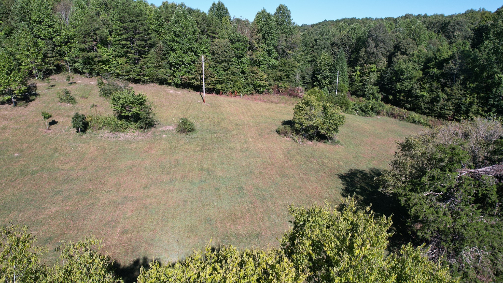 446 Grinder Creek Road Hohenwald, TN 38462 - Photo 6 of 11 a view of a backyard of a house