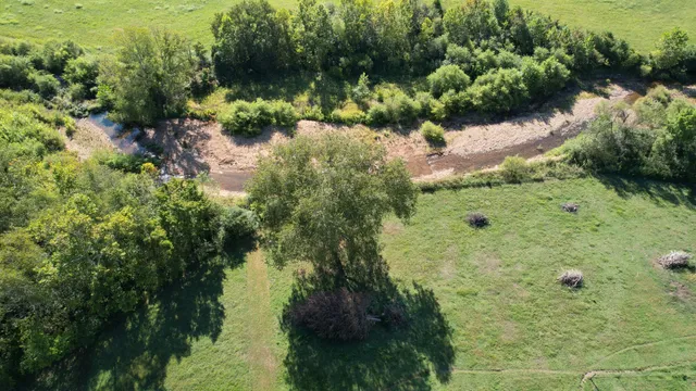 a view of a large yard with lots of green space