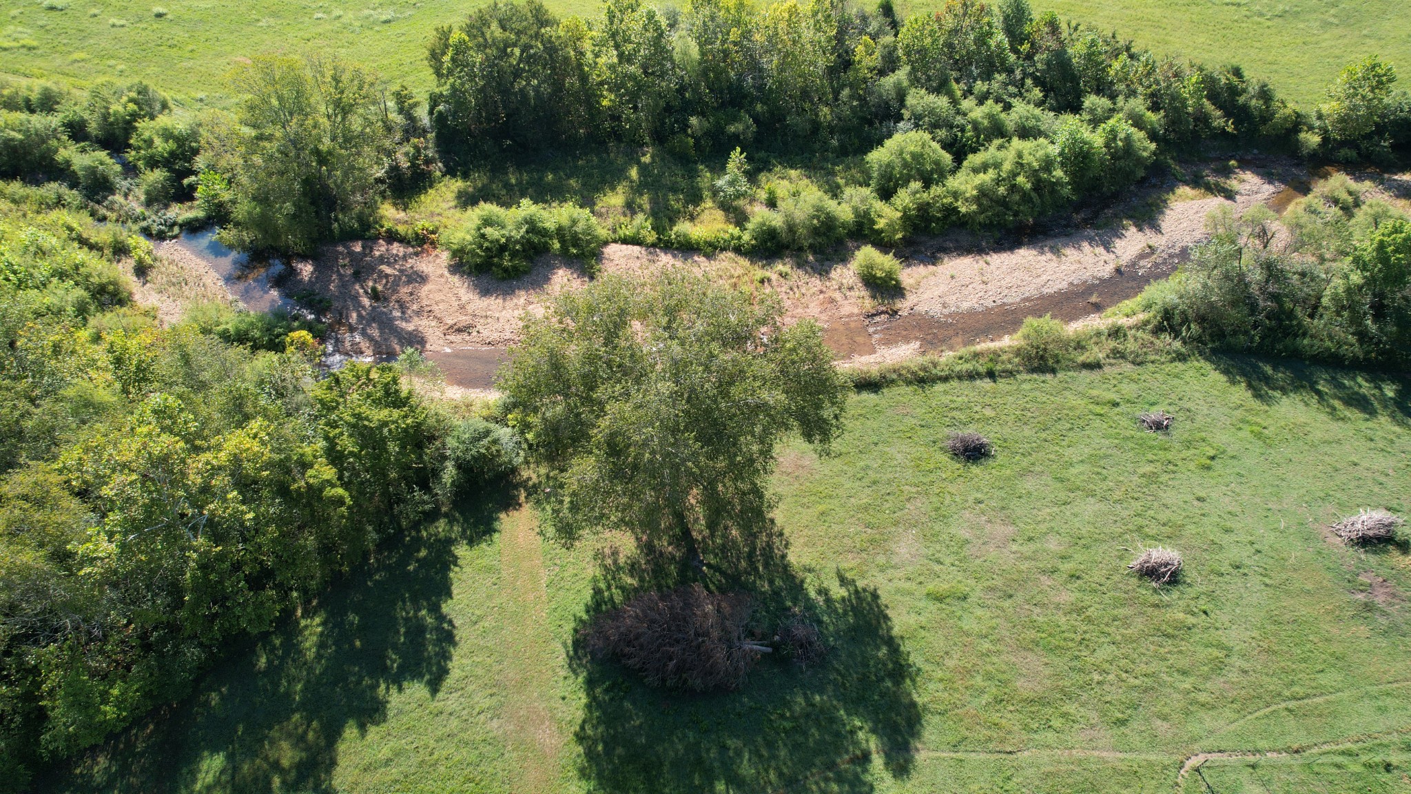 446 Grinder Creek Road Hohenwald, TN 38462 - Photo 8 of 11 a view of a garden