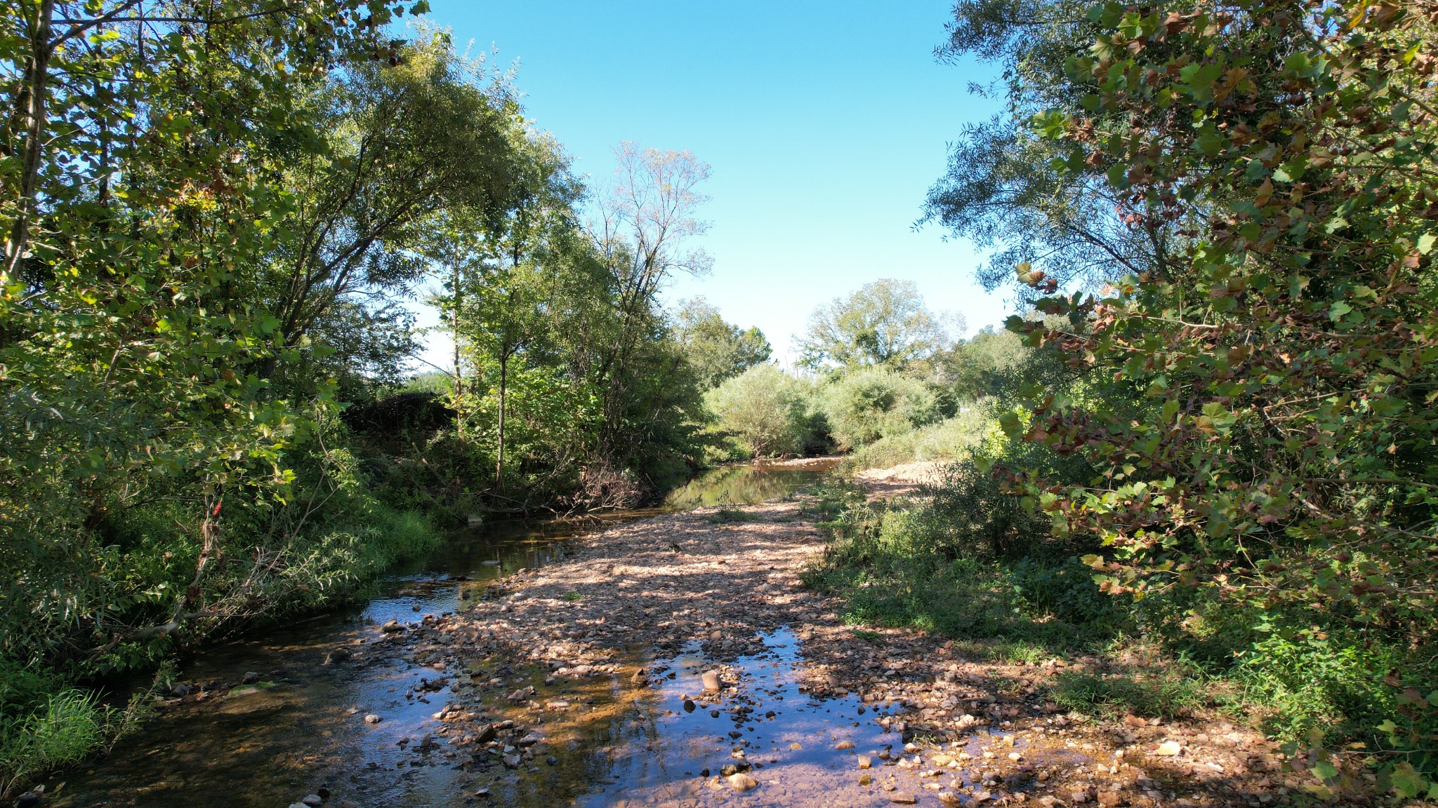 446 Grinder Creek Road Hohenwald, TN 38462 - Photo 9 of 11 a view of a large yard with lots of green space