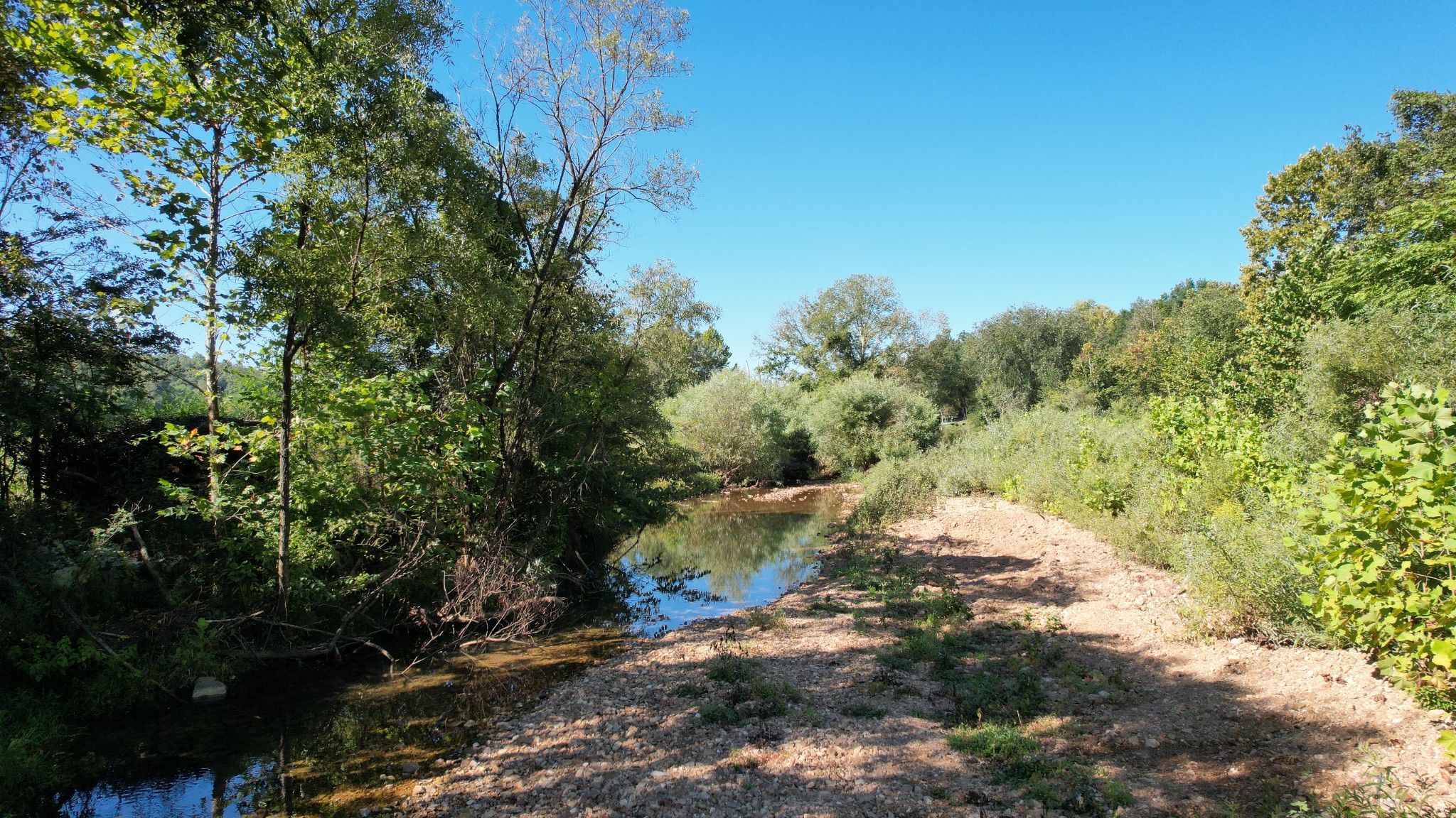 446 Grinder Creek Road Hohenwald, TN 38462 - Photo 10 of 11 a view of a tree in a yard