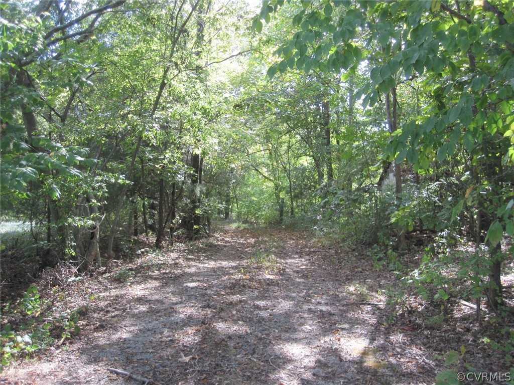 0 Lindsay Road Pamplin, VA 23958 - Photo 2 of 10 a view of a forest with trees in the background
