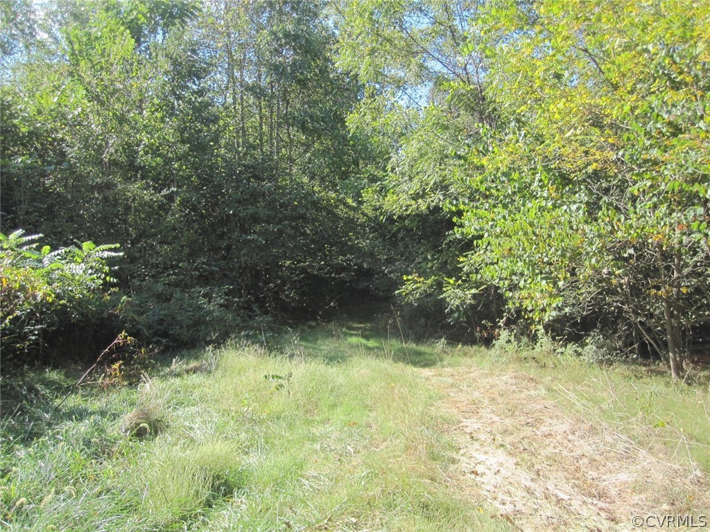 0 Lindsay Road Pamplin, VA 23958 - Photo 3 of 10 a view of outdoor space and a yard