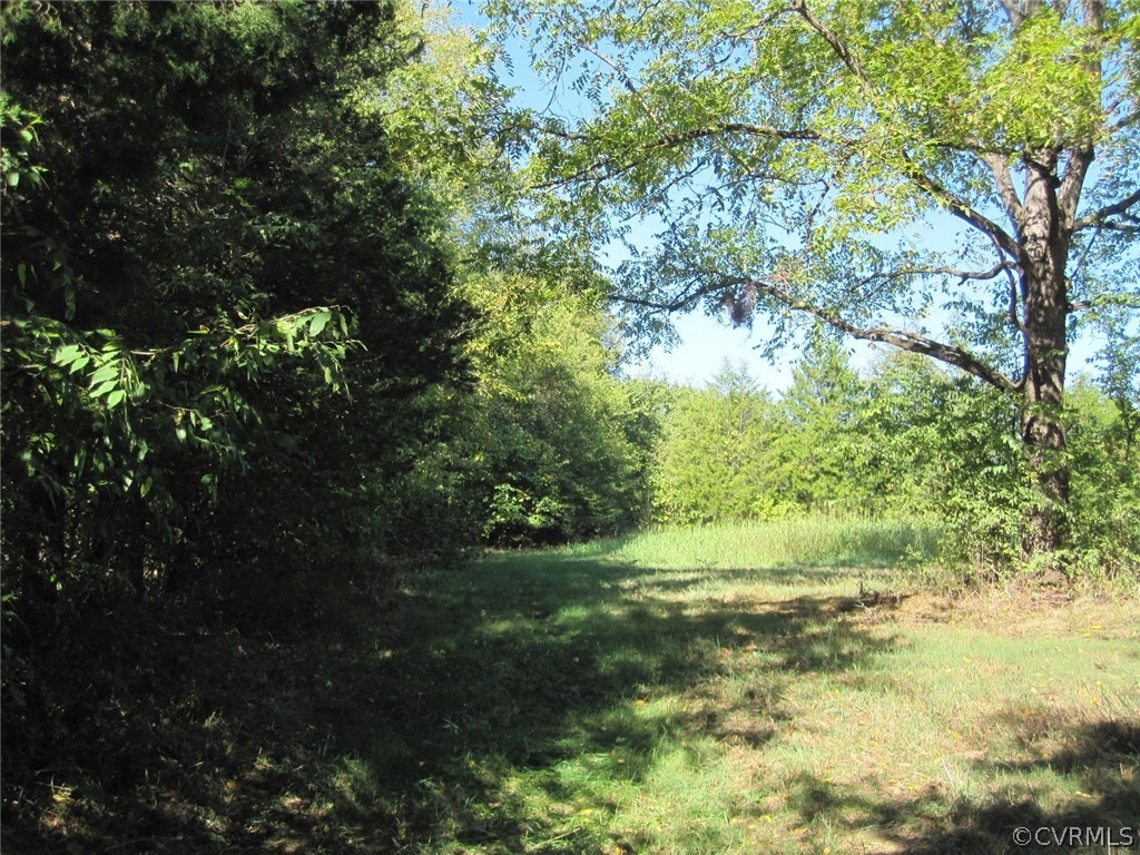 0 Lindsay Road Pamplin, VA 23958 - Photo 4 of 10 a view of a yard with a tree