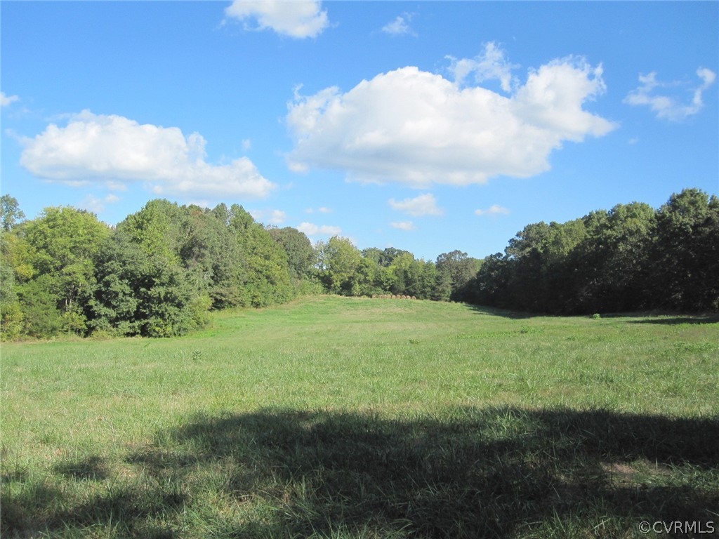 0 Lindsay Road Pamplin, VA 23958 - Photo 5 of 10 a view of a big yard with potted plants and mountain