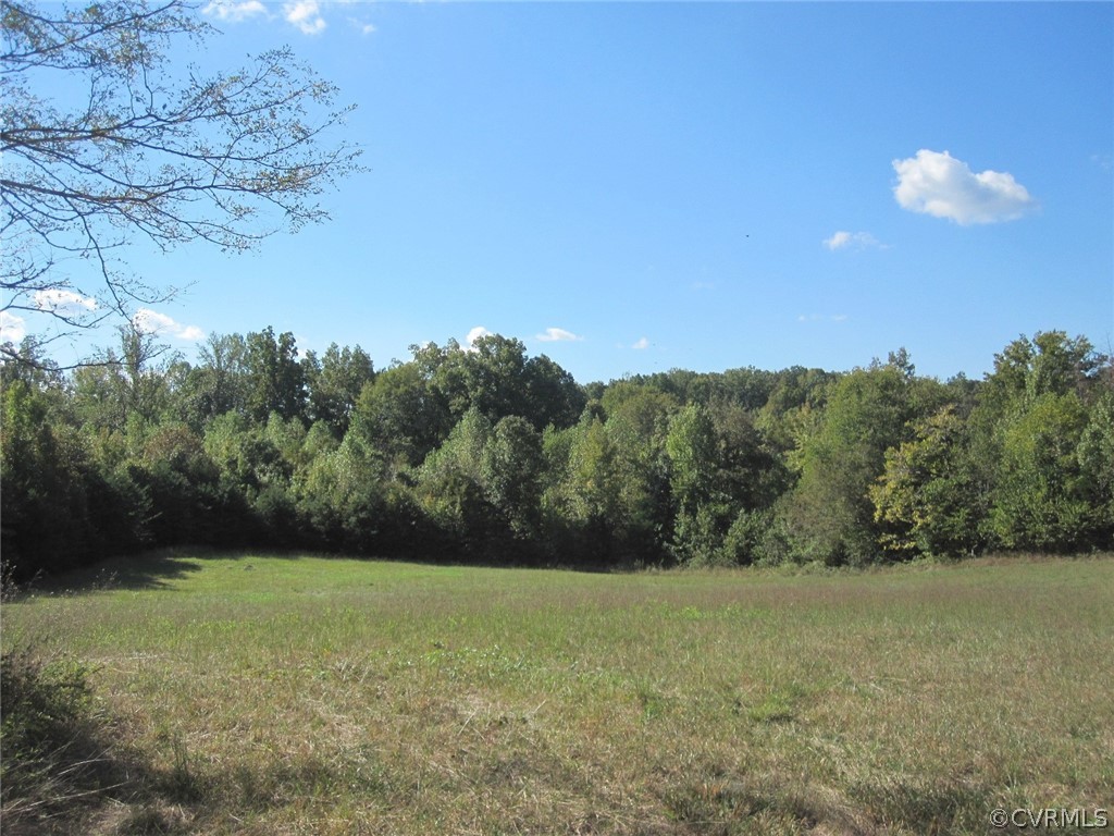 0 Lindsay Road Pamplin, VA 23958 - Photo 8 of 10 a view of outdoor space and yard