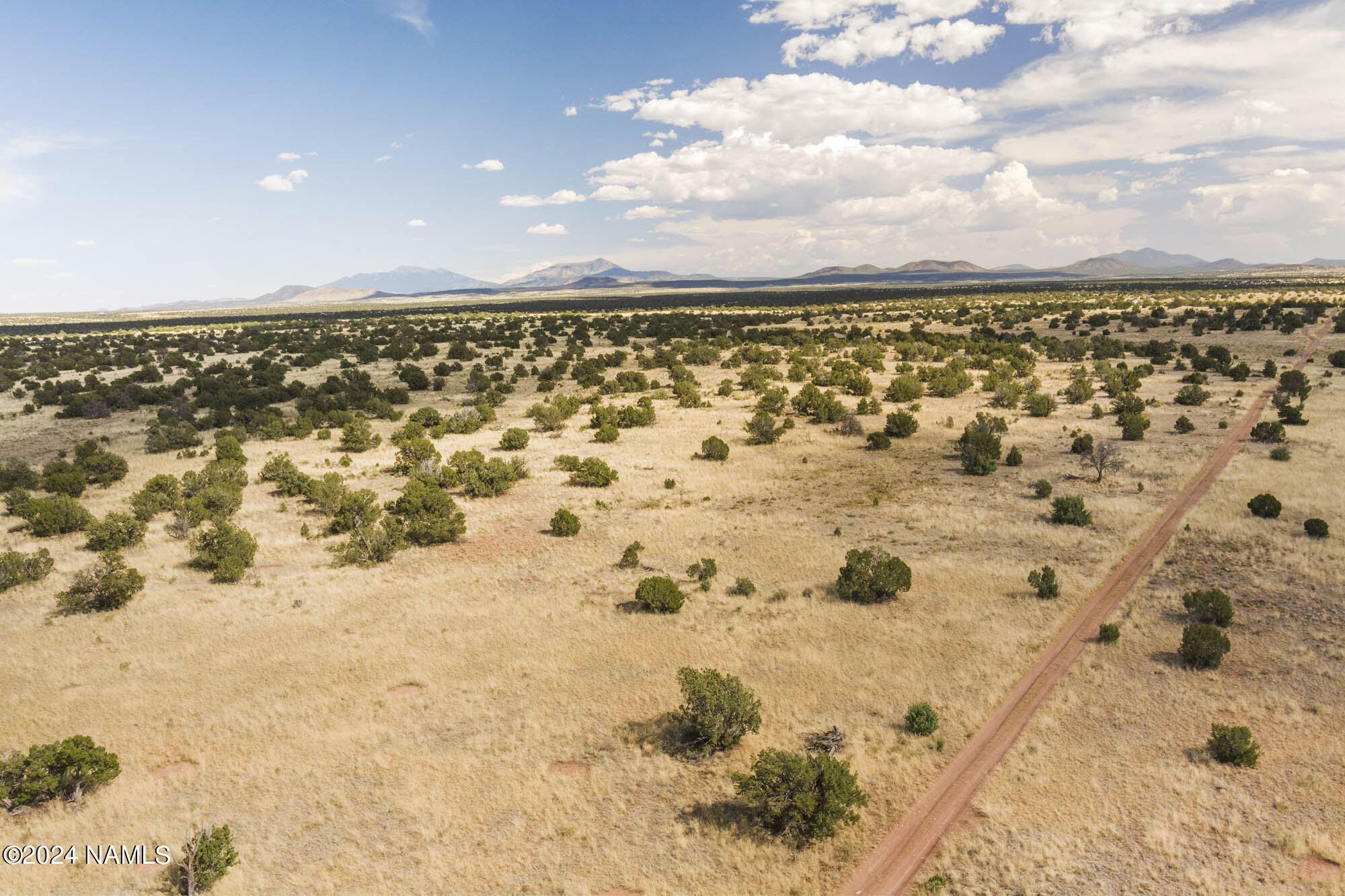 851 South Wyandotte Road Williams, AZ 86046 - Photo 11 of 25 851 S Wyandotte Rd Photo 22