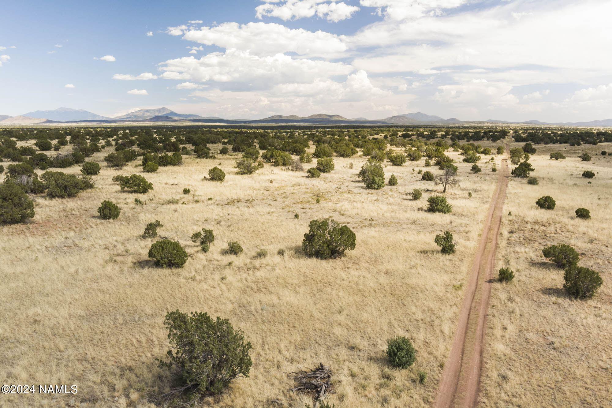 851 South Wyandotte Road Williams, AZ 86046 - Photo 12 of 25 851 S Wyandotte Rd Photo 23