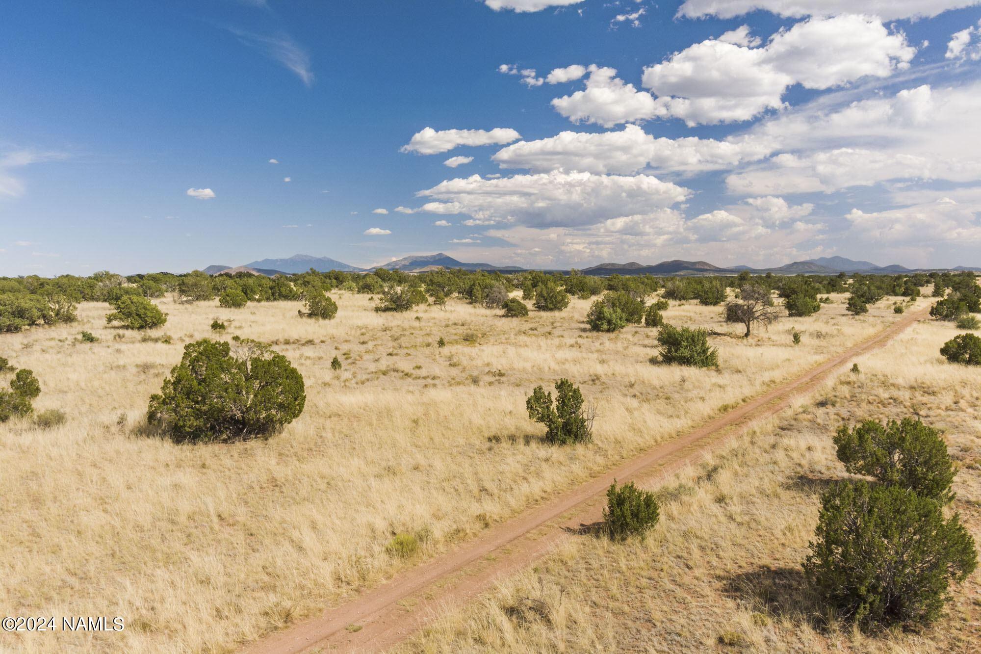 851 South Wyandotte Road Williams, AZ 86046 - Photo 15 of 25 851 S Wyandotte Rd Photo 8