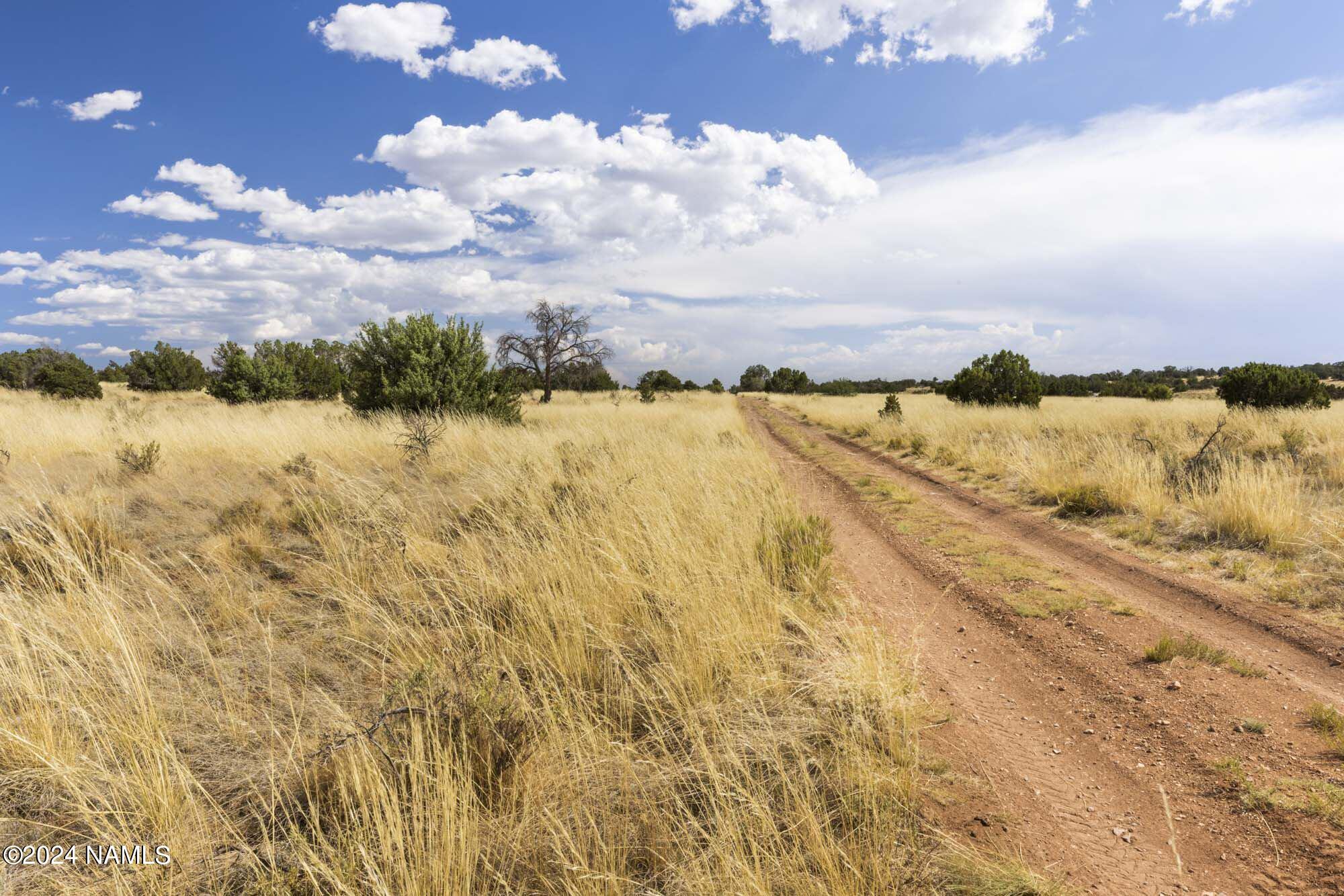 851 South Wyandotte Road Williams, AZ 86046 - Photo 17 of 25 851 S Wyandotte Rd Photo 1