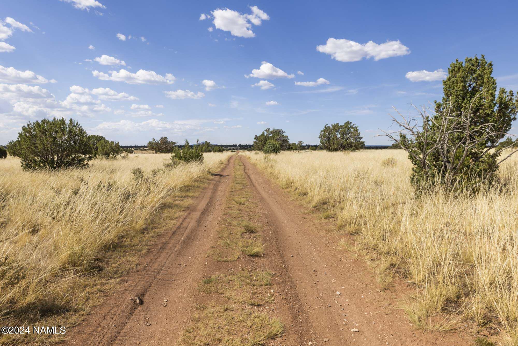 851 South Wyandotte Road Williams, AZ 86046 - Photo 18 of 25 851 S Wyandotte Rd Photo 2