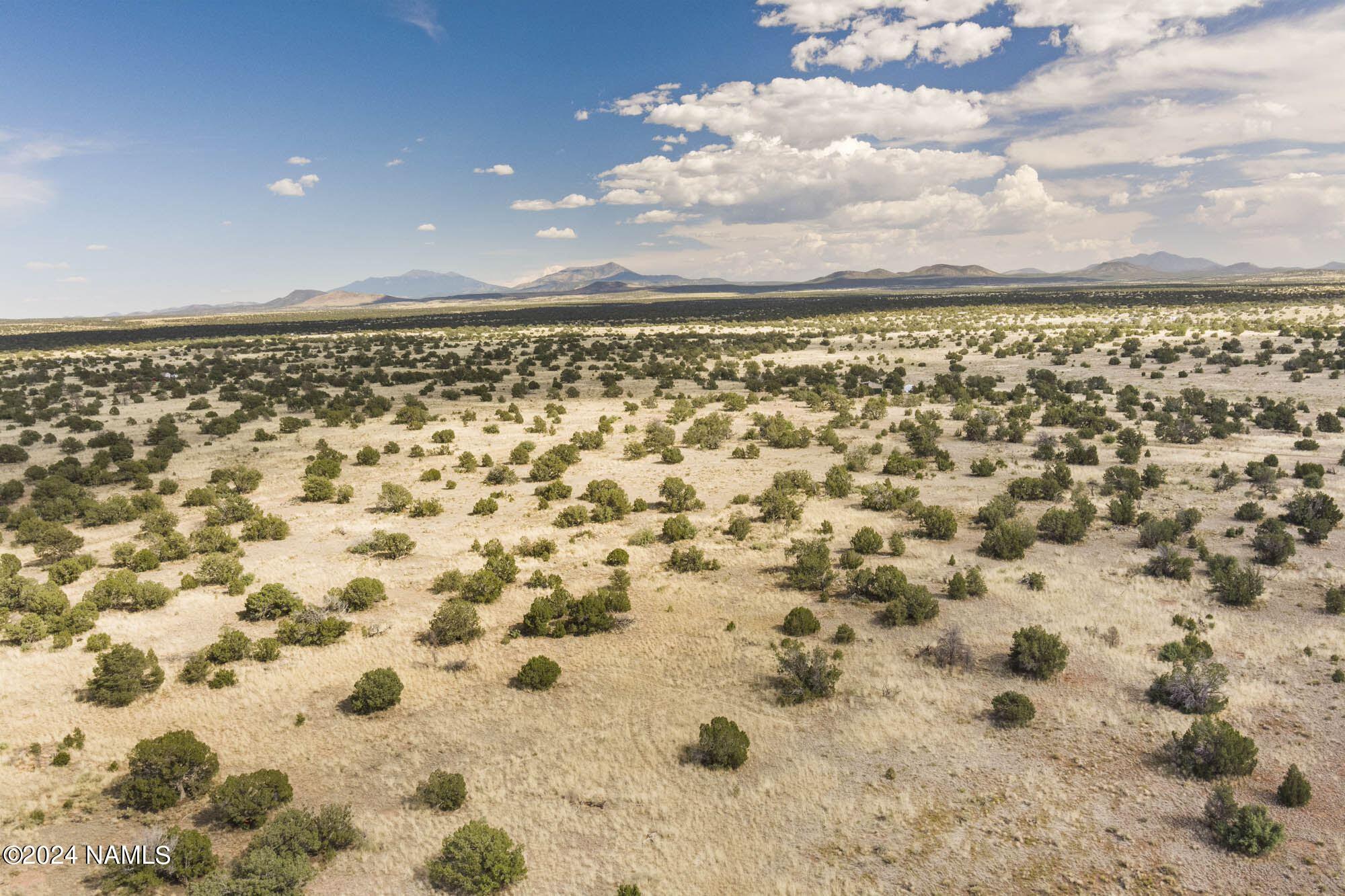 851 South Wyandotte Road Williams, AZ 86046 - Photo 2 of 25 851 S Wyandotte Rd Photo 21