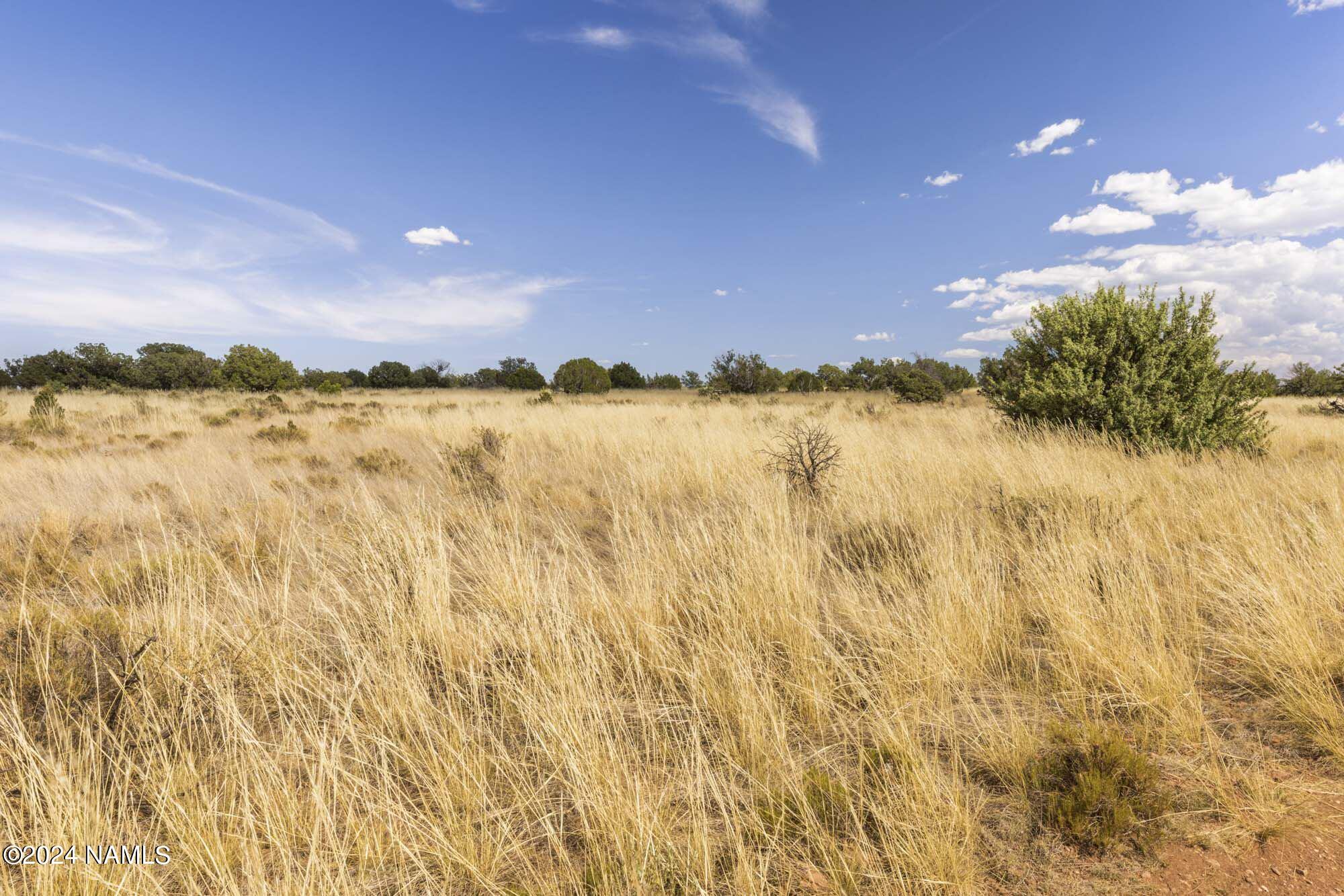851 South Wyandotte Road Williams, AZ 86046 - Photo 21 of 25 851 S Wyandotte Rd Photo 3