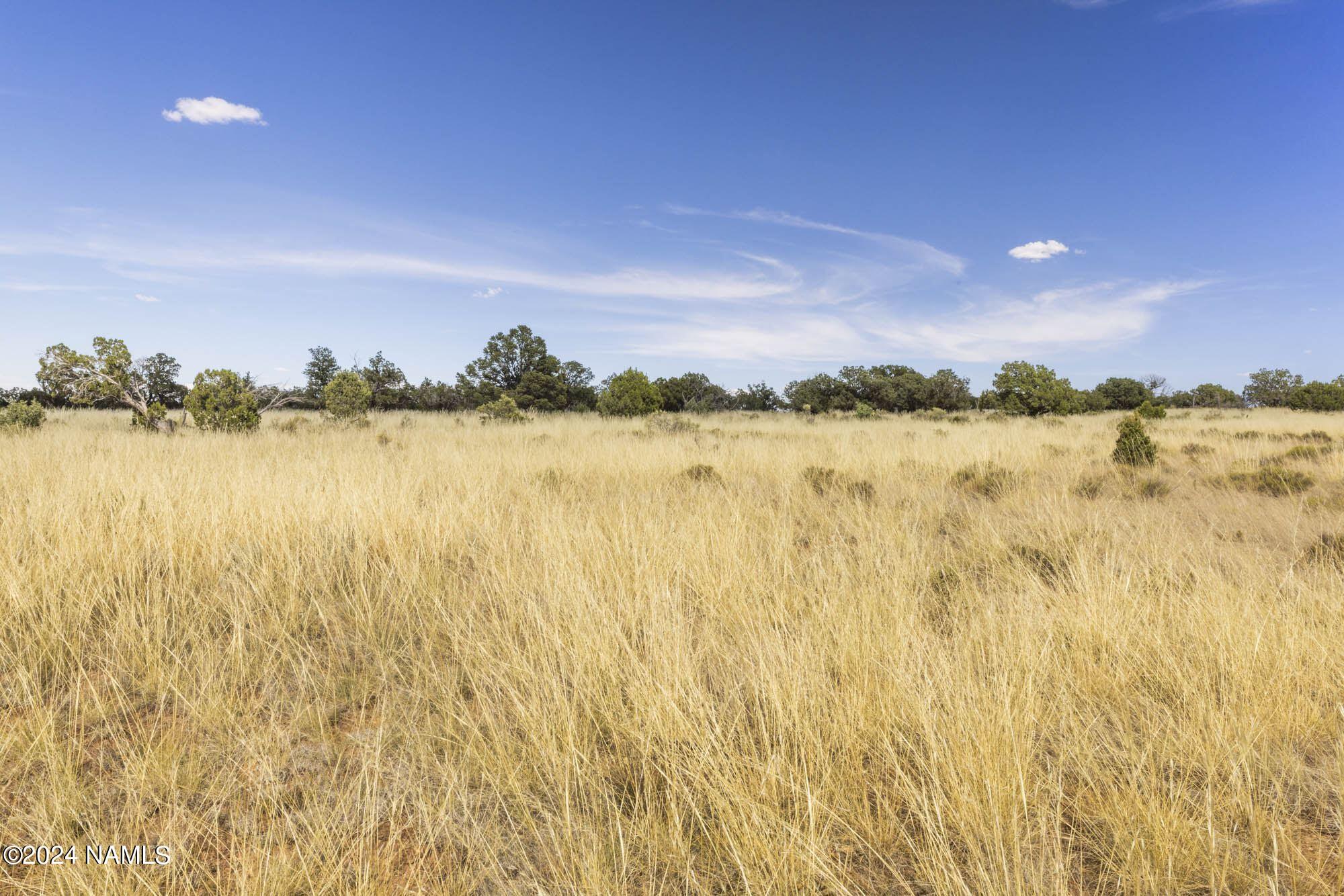 851 South Wyandotte Road Williams, AZ 86046 - Photo 22 of 25 851 S Wyandotte Rd Photo 4