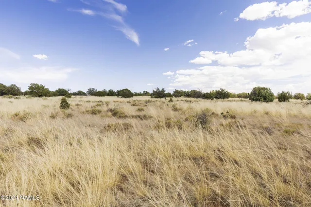 $14,000 | 851 South Wyandotte Road, Williams, AZ 86046