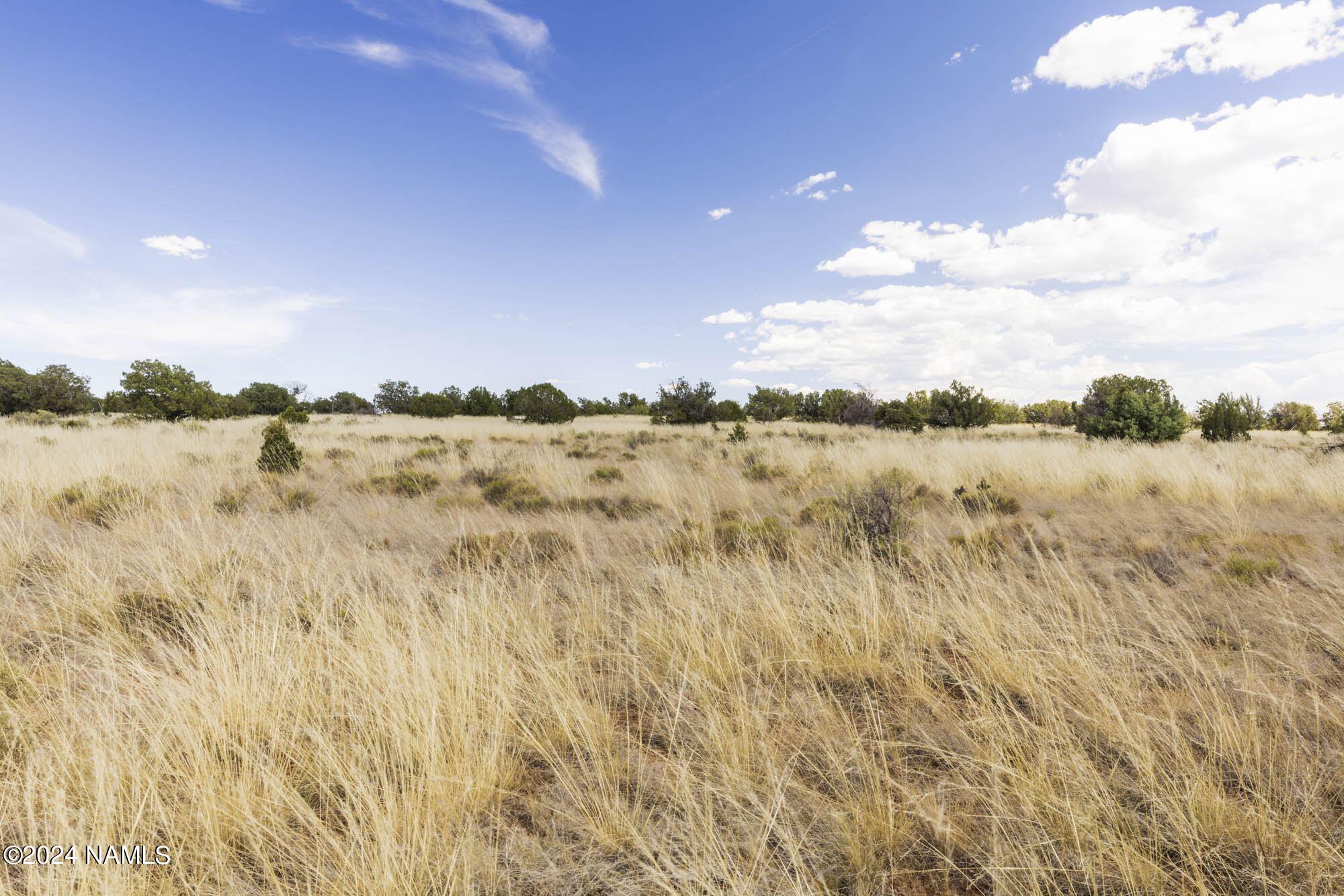 851 South Wyandotte Road Williams, AZ 86046 - Photo 23 of 25 851 S Wyandotte Rd Photo 5